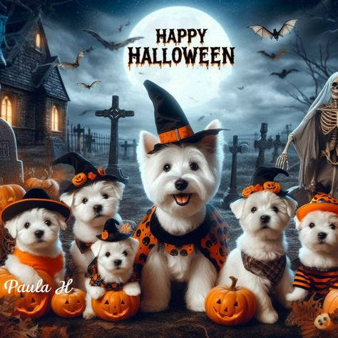 Happy Easter Pictures, Highlands Terrier, Easter Pictures, Westie Dogs, Halloween Wall Art, West Highland White, White Terrier, West Highland Terrier, West Highland White Terrier