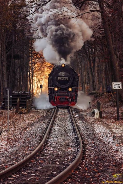 Volldampf voraus mit der Brockenbahn  Ich wünsche euch einen schönen Tag. Schöne Grüße  #brockenbahn #hsb #wernigerode #harzerschmalspurbahn #schmalspurbahn #bahn #eisenbahn #dampflok #zug #herbst #autumn #heimat #harz #zuhauseimharz #harzliebe #draussenimharz #Landscape #Landschaft #Natur #Nature #Photography #Fotografie #Photomicha #Canon #Landscapephotography #Naturelovers #Naturephotography #Motiv Electronic Vision Board, Train Pictures, Weird Pictures, Funny Cat Pictures, Cat Pics, Land Scape, State Parks, Canon, Nature Photography