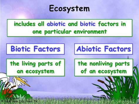 Biotic And Abiotic Factors, Abiotic Factors, Biotic And Abiotic, Learning Websites For Kids, Living And Nonliving, Biology Classroom, 7th Grade Science, Third Grade Science, Math Tutorials