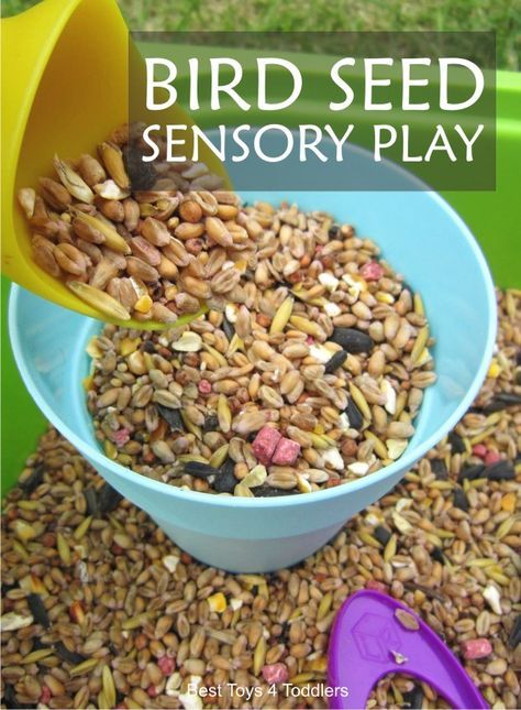 Simple to set up and fun to play outside - bird seed sensory bin for toddlers and preschoolers. Sensory Themes, Seed Sensory Bin, Montessori Spring, Bird Activities, Sensory Bin For Toddlers, Sensory Materials, Birds Theme, Sensory Play Toddlers, Spring Themes