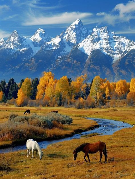 Country Views Photography, Country Scenes Farms Landscapes, Autumn Scenery Landscape, Western Art Ideas, Mountain Reference, America Scenery, American Mountains, Montana Scenery, Yellowstone Photography