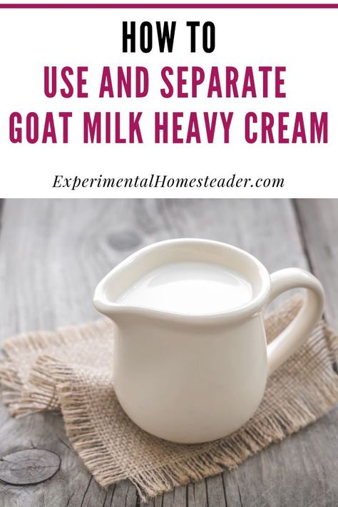 Learn how to use and separate goat milk heavy cream even if you do not have a cream separator. Heavy cream is used in a lot of recipes and can be frozen. #goatmilkheavycream #howtomakeheavycreamfromgoatmilk #heavycream #goatmilk Goat Milk Butter Recipe, Raw Goat Milk Recipes, Goat Milk Cream Cheese, What To Do With Goat Milk, Goat Milk Uses, What To Do With Goats Milk, Goat Milk Mozzarella Recipe, Goats Milk Recipes, Goat Milk Butter