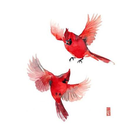 Cardinals Take Wings - Watercolor Painting - Bird Wildlife Art Print Poster Cardinal Birds Art, Cardinal Watercolor, Quilts Handmade, Christmas Birds, Filler Flowers, Watercolour Flower, Painting Spring, Watercolor Backgrounds, Bird Paintings