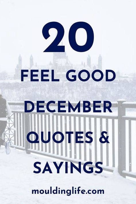 Picture of snowing with text overlay 20 Feel Good Winter Quotes and Sayings December Quotes Inspirational, December Quotes, Year Quotes, Cheer You Up, Uplifting Quotes, Sign Quotes, Short Quotes, Months In A Year, Empowering Quotes