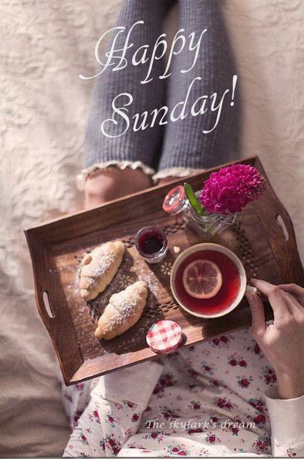 Happy Sunday! ❤️ Sunday Tea, Cups Of Tea, Cup Of Tea, Happy Saturday, Tea, Sun, Bed