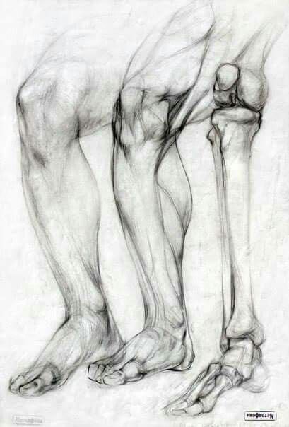 Bone Drawing, Leg Anatomy, Anatomy Bones, Drawing Legs, Human Anatomy Drawing, Human Figure Drawing, Human Anatomy Art, Anatomy Sketches, Anatomy For Artists