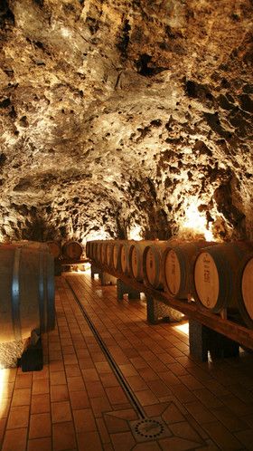 Marisa Cuomo Wine Cave Art Du Vin, Cave Design, Speak Easy, Wine Cave, Chianti Classico, Wine Vineyards, Wine Cellar Design, Cellar Design, Wine Barrels