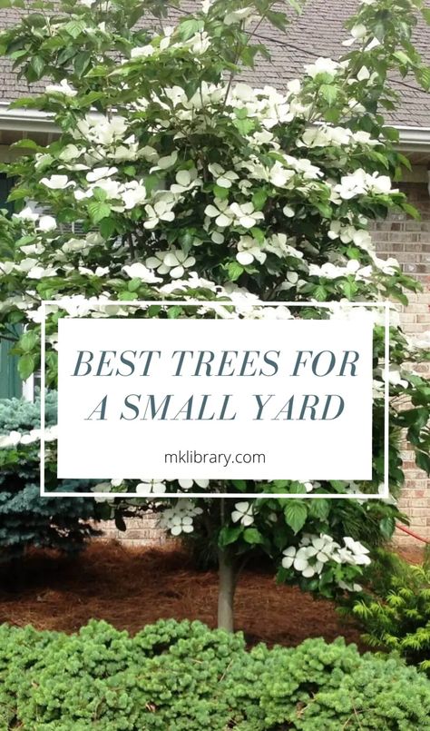 6 Great Trees For A Small Yard – MK Library Dogwood Tree Landscaping, Small Landscape Trees, Japanese Maple Tree Landscape, Maple Tree Landscape, Colorful Backyard, Trees For Front Yard, Eastern Redbud, Backyard Sanctuary, Patio Trees