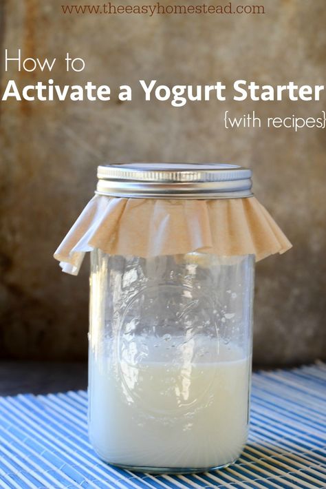 How to Activate a Yogurt Starter {with recipes} | The Easy Homestead (.com) Yogurt Starter Culture, Yogurt Starter, Starter Cultures, Bread Starter, Homemade Yogurt, Homemade Cheese, Yogurt Recipes, Starters Recipes, Sourdough Recipes