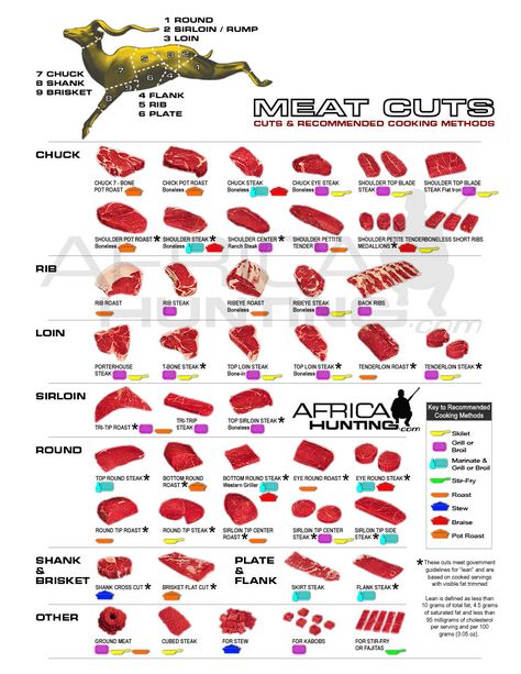 Click this image to show the full-size version. Meat Cuts Chart, Deer Butchering, Deer Processing, Venison Meat, Deer Recipes, Game Meat, Meat Processing, Deer Meat Recipes, Deer Meat