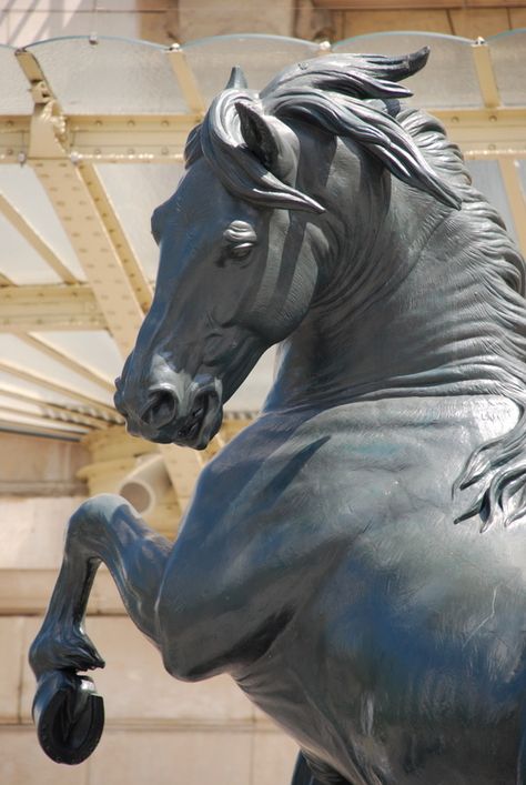 Paris horse statue - been there.. Equestrian Statue, Horse Anatomy, Horse Statue, Horse Artwork, Sculptures Céramiques, Equestrian Art, Carousel Horses, Horse Sculpture, Equine Art