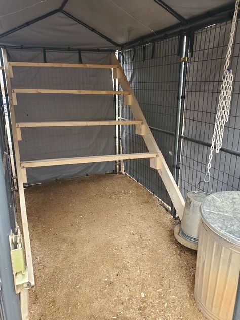 Dog Run Chicken Coop, Chicken Coop Dog Kennel, Dog Kennel Chicken Coop, Kennel Chicken Coop, Chicken Enclosure, Chicken Roost, Walk In Chicken Coop, Build A Dog House, Dog Run