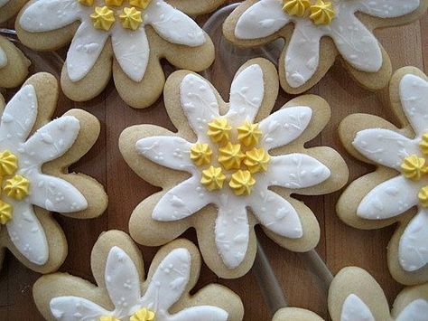 These are my first NFSC cookies! I was asked to create Edelweiss cookies for our Annual Ladies Tea, the theme was "The Sound of Music," so Edelweiss cookies were requested. I spent the last couple months working on how to do them and learning what they actually looked like. Thanks to cassiescakes for her design ideas, and her help! They are NFSC, with MMF, and Yellow Royal Icing. They were delicious and everyone loved them! Music Birthday Party, Decorative Food, Oktoberfest Food, Ladies Tea, Concert Ideas, Music Themed Parties, Music Themed Wedding, Edelweiss Flower, Yellow Party