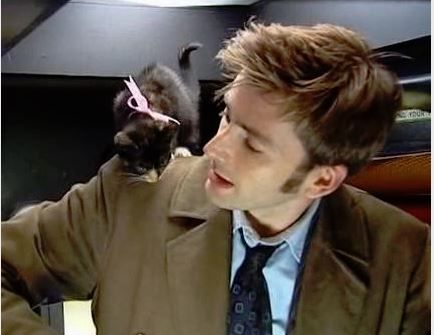 Scottish Actor David Tennant with kitten (Tenth Doctor in the British television series Doctor Who) Celebrities With Cats, Doctor Who 10, David Tennant Doctor Who, 10th Doctor, Tenth Doctor, Michael Sheen, Wibbly Wobbly Timey Wimey Stuff, Cat People, Timey Wimey Stuff