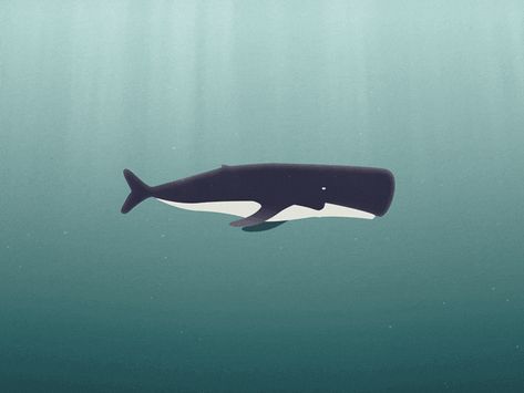 whale cycle walk swim walkcycle underwater whale loop gif flat vector motion design animation 2d Beautiful Nature Gifs, 2d Loop Animation, Fish Gif Animation, Whale Animation, Underwater Animation, Ocean Animation, Looping Gif, Sea Gif, Fish Animation