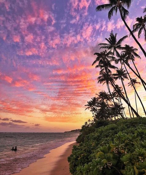 Tourism Hawaii’s Instagram profile post: “Look up when the world gets you down.⁠ Oahu, Hawaii⁠ Photo by @kurtstevensphotography⁠ ⁠ #nakedhawaii #Hawaii #beautifuldestinations…” Sunsets Hawaii, Hawaii Adventures, Hawaii Destinations, Croatia Holiday, Beautiful Scenery Pictures, Hawaiian Culture, Destination Voyage, Setting Sun, Beautiful Sights