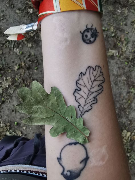 White Oak Leaf Tattoo, Oak Leaf Tattoo, Spine Tattoos Ideas, Oak Leaf Tattoos, White Oak Leaf, Leaf Tattoo, Spine Tattoos, Oak Leaf, Tattoos Ideas