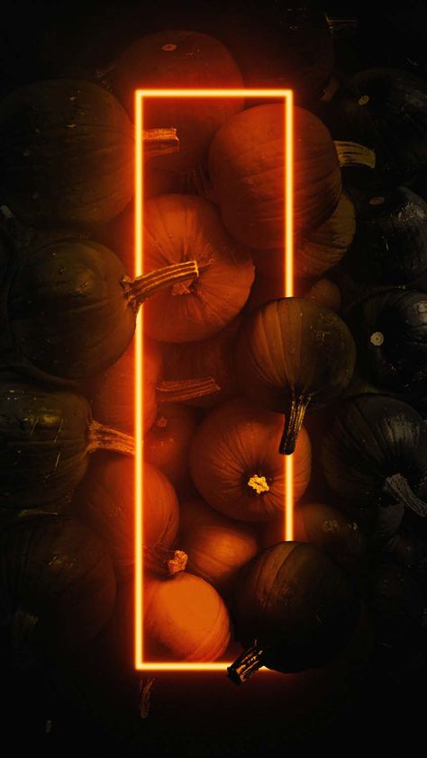 Pumpkin Neon Halloween IPhone Wallpaper HD - IPhone Wallpapers : iPhone Wallpapers Neon Halloween Wallpaper Iphone, Hollowen Wallpaper, Neon Halloween Wallpaper, Ipad Halloween Wallpaper, Pumpkin Iphone Wallpaper, Fall Homescreen Wallpaper, Goth Wallpapers, Neon Pumpkin, Elf Is Back Ideas