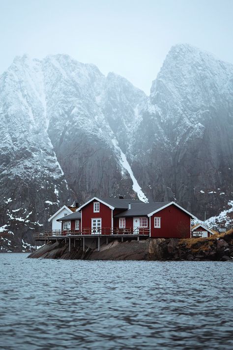 Red fishing cabins in Hamnoy, Norway | premium image by rawpixel.com / Jack Anstey Hamnoy Norway, Norway Snow, Island Background, Winter Norway, Fishing Cabin, Eagle In Flight, Wooden Cottage, Beautiful Cabins, Wooden Cabins