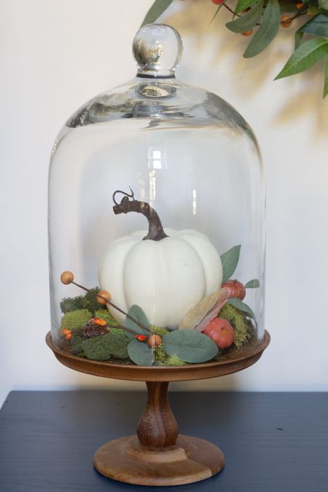 Deconstructed Modern Fall Wreath | DeeplySouthernHome Fall Cloche Ideas, Glass Cloches, Cloche Decor, Creative Pumpkin Decorating, Decoration Shabby, Tafel Decor, Creative Pumpkins, Faux Pumpkins, Fall Thanksgiving Decor