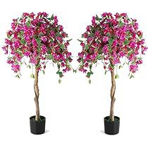 Azalea Tree, Outdoor Plants Landscaping, Plant For Indoor, Camellia Tree, Bougainvillea Tree, Tree In Pot, Azalea Flower, Fake Trees, Outdoor Bedroom