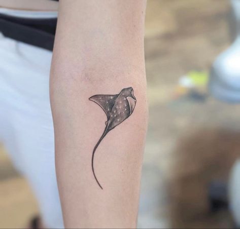 Stingray Drawing Tattoo Designs, Stingray Tattoo With Flowers, Cow Nose Ray Tattoo, Stingray Leg Tattoo, Stingray Flower Tattoo, Spotted Ray Tattoo, Sting Rays Tattoo, Floral Stingray Tattoo, Bat Ray Tattoo