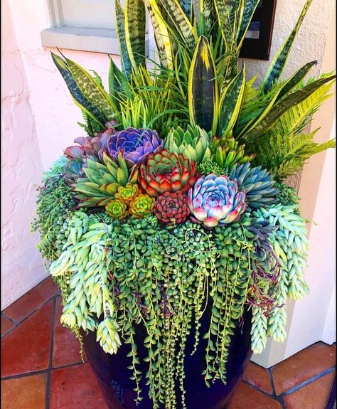 Potted Plants Patio, Succulent Garden Landscape, Succulent Landscape Design, Container Garden Design, Succulent Garden Design, Potted Plants Outdoor, Succulent Garden Diy, Container Gardening Flowers, Garden Decor Projects