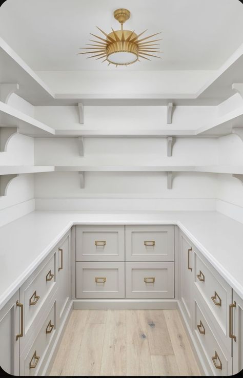 Remodel Pantry, Walk In Pantry Ideas, Pantry Closet Design, Pantry Layout, Dream Pantry, Pantry Inspiration, House Pantry, Pantry Laundry Room, Pantry Room