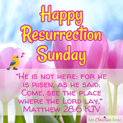 Happy Resurrection Sunday Quotes, Happy Resurrection Sunday Wishes, Happy Ressurection Day Quotes, Happy Resurrection Sunday Images, Ressurection Sunday Images, Bible Quotes Aesthetic, Resurrection Quotes, Palm Sunday Quotes, Easter Bible Quotes