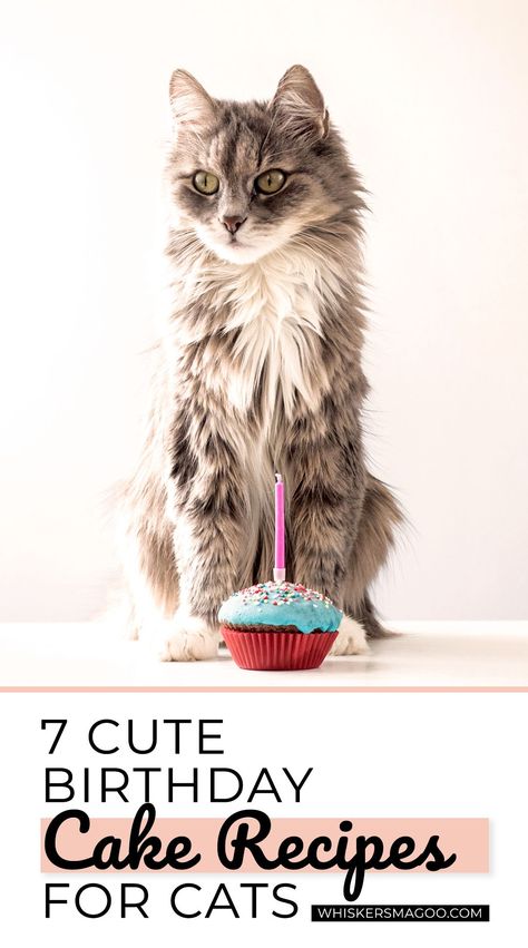 Cat Food Cake, Birthday Treat For Cat, Birthday Cakes For Cats To Eat, Cat Friendly Cake Recipes, Ideas For My Cats Birthday, Cat Recipes Treat, Cat Birthday Cake For Cats Recipe, Cat Cakes For Cats, Cake For A Cat