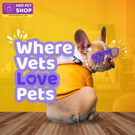 Veterinary care that goes above and beyond for your beloved pets. 🐾✨

Visit : https://herpetshop.com/
Follow for more!!!

#WhereVetsLovePets #VeterinaryCare #PetWellness #CompassionateVets #FurryFriends #AnimalHealth #PetCareExperts #HealthyPets #VetLove #PetHappiness #petlover #pet #dogfashion #petlovers #doglovers #dogclothes #doglife Veterinary Social Media, Dog Food Supplements, Pet Advertising, Social Media Campaign Design, Pet Branding, Banner Design Inspiration, Food Supplements, Pet Blog, Pet Clinic