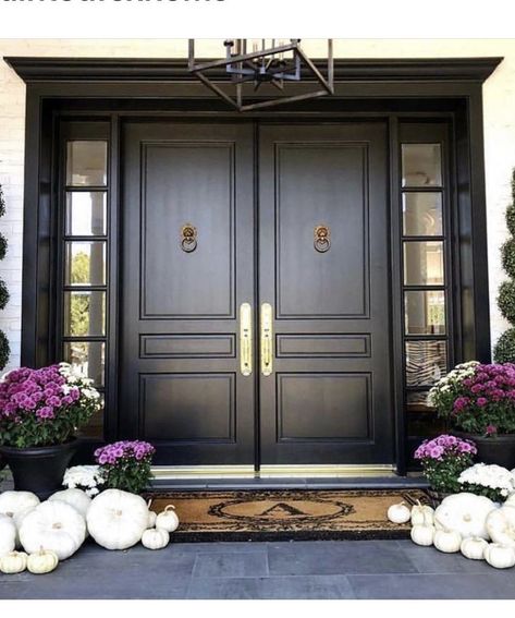 Double Front Entry Doors, Victorian Front Doors, Luxury Living Room Decor, Victorian Door, Double Front Doors, Inside Decor, Wrought Iron Doors, Entrance Door Design, Main Door Design