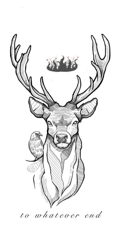 Elk Line Art, Deer Hunting Drawing, Deer Antlers Drawing, Drawing Of Deer, Buck Drawing, Dear Drawing, Stag Drawing, Antlers Drawing, Buck Tattoo