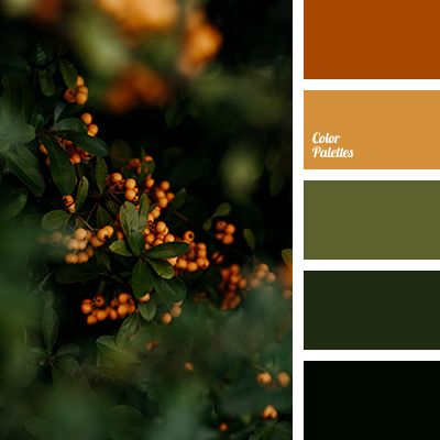 Color Palette Ideas | Page 3 of 512 | ColorPalettes.net Flat Bedroom, In Color Balance, Color Palette Ideas, Warm Palette, Color Schemes Colour Palettes, Palette Ideas, Green Colour Palette, Design Seeds, Color Palette Design