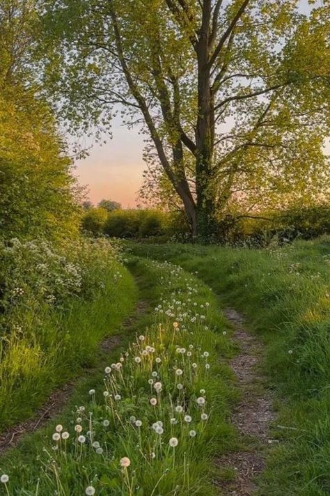 Golden Hour Countryside, Happy Nature Aesthetic, English Countryside Spring, May Asethic, Nature Golden Hour, English Countryside Garden, Spring Garden Aesthetic, Me As An Place, Aesthetic Places Nature