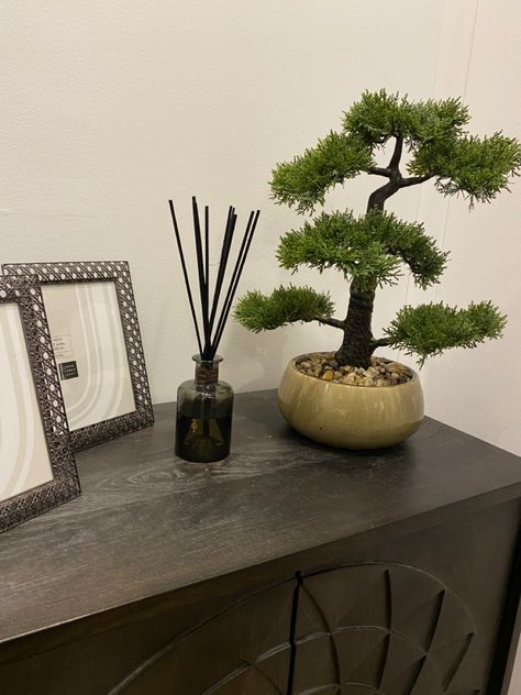 room inspiration minimalistic Bonzai Tree Aesthetic, Bonsai Tree Decor Living Room, Bonsai Tree Bedroom, Livibg Room, Tree Bedroom, Botanical Interior, Indoor Bonsai Tree, Romantic Bedroom Decor, Indoor Bonsai