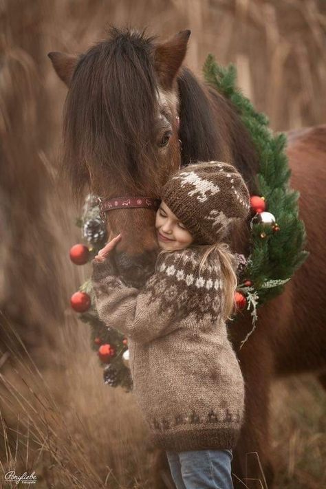 Biscuits Recipes, Bakugou And Uraraka, Pictures With Horses, Winter Horse, Family Christmas Pictures, Christmas Horses, Christmas Shoot, Christmas Mini Sessions, Mini Horse