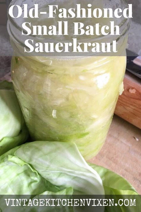 Cabbage Sauerkraut Recipes, Fermented Cabbage Sauerkraut, Raw Sauerkraut Recipe, German Sauerkraut Recipes Homemade, How To Make Sauerkraut From Cabbage, Sourkrout Recipe How To Make, Saurkraut Recipes Quick, Sour Kraut Recipe, Fermented Cabbage Recipe