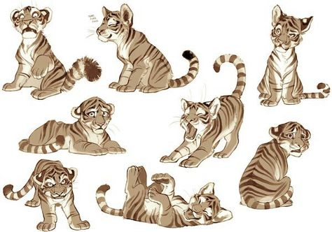 Tiger cartoon Claire Hummel, Character Expressions, Tiger Cubs, Reference Ideas, Character Design Cartoon, Drawing Animals, Big Cats Art, Animal References, Animal Drawing