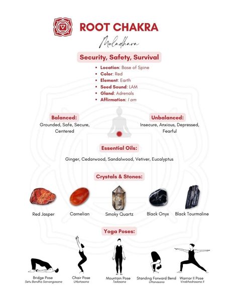 Aesthetic Chakra, Chakra Aesthetic, Root Chakra Yoga, Chakra For Beginners, Red Chakra, Chakra Chart, The Root Chakra, Muladhara Chakra, Chakra Healing Meditation