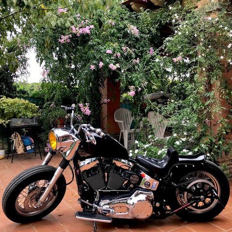 Softail Chopper, Softail Bobber, Custom Motorcycles Bobber, Sportster Bobber, Norton Commando, Harley Bobber, Harley Davidson Fatboy, Bobber Bikes, Custom Bobber