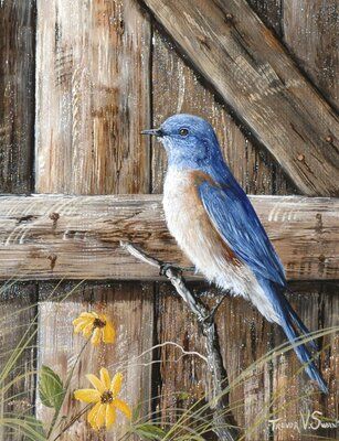 'Old Barn Watcher' Print