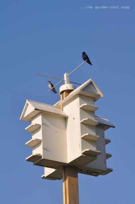 the garden-roof coop: Purple Martins... Purple Martin House Plans, Purple Martin Birdhouse, Martin Bird House, Martin Bird, Birdhouse Plans, Purple Martin House, Birds House, Birdhouse Projects, Rustic Wood Projects