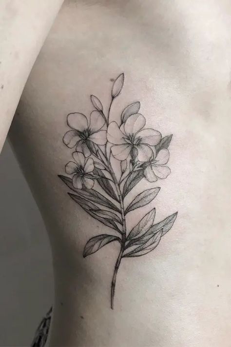 Stephanotis Tattoo, Nerium Oleander Tattoo, White Oleander Tattoo, Oleander Flower Tattoo, Laurel Flower Tattoo, Oleander Tattoo, Poisonous Flowers, Grandparents Tattoo, Jasmine Tattoo