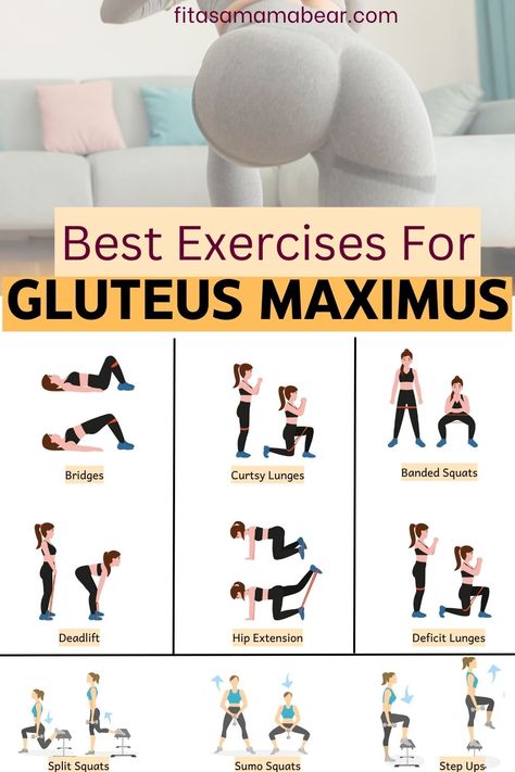 Pin image with text and multiple graphics of glute exercises with text around them. Gluteus Maximus Exercises, Gluteus Maximus Workout, Gluteus Workout, Workouts To Tone, Glutes Exercises, Glute Strengthening, Glute Training, Glute Medius, Gluteus Maximus