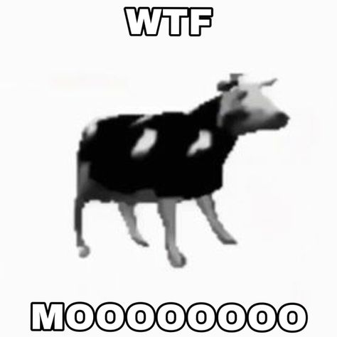 Cursed Cow Images, Cow Puns Funny, Funny Cow Cartoon Images, Cow Meme, Cow Meme Funny, Cows Funny, Milk Cow, Funny Pins, Cow