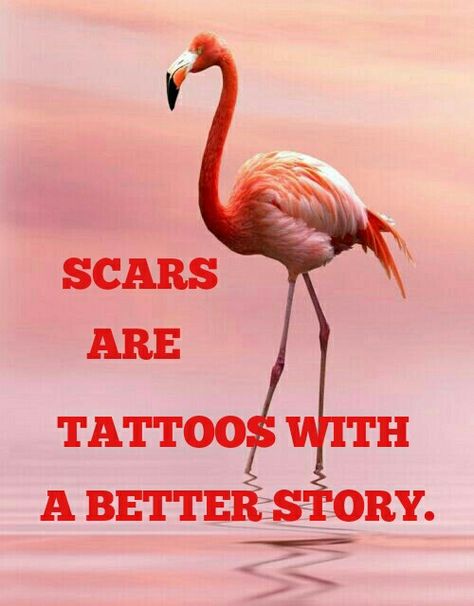 Quotes About Flamingos, Happy Valentines Day Sister, Be A Flamingo, Flamingo Sayings Quotes, Flamingo Facts, Flamingos Quote, Flamingo Memes Hilarious, Flamingo Pictures, Flamingo Craft