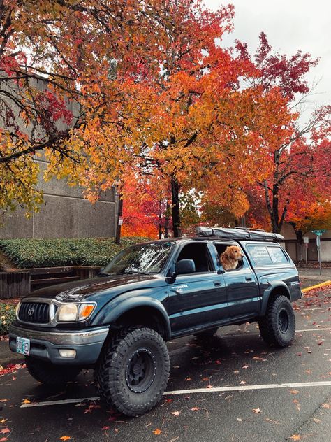 Interior Truck Ideas, Tacoma Aesthetic, Overland Toyota, Toyota Surf, Adventure Vehicle, Truck Canopy, Toyota Pickup 4x4, Tacoma Truck, Adventure Car