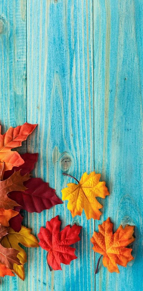 Fall Desktop Backgrounds, Fall Background Wallpaper, Wallpaper Whatsapp, Japanese Wallpaper Iphone, 11 Wallpaper, Wallpaper Fall, Thanksgiving Wallpaper, Cute Fall Wallpaper, Ipad Background