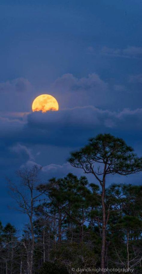 Moon Sea, Night Sky Art, Blessed Night, Moonlight Photography, Moon Clouds, Moon Pictures, Moon Photography, Galaxy Painting, Good Morning Picture